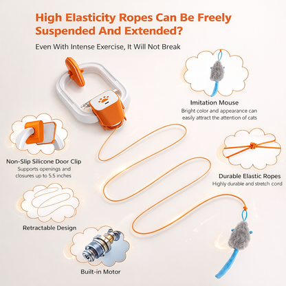 PurrMotion™ – Smart Play System